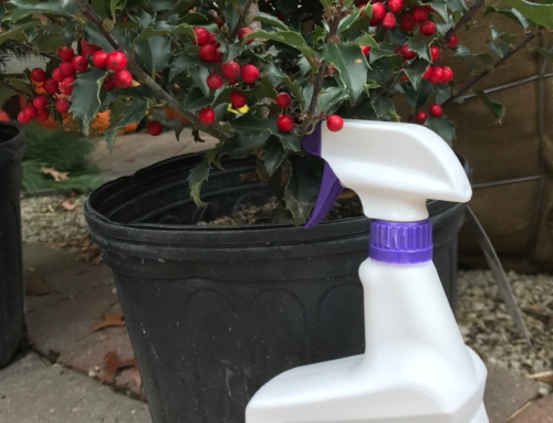 November/December Gardening Tips