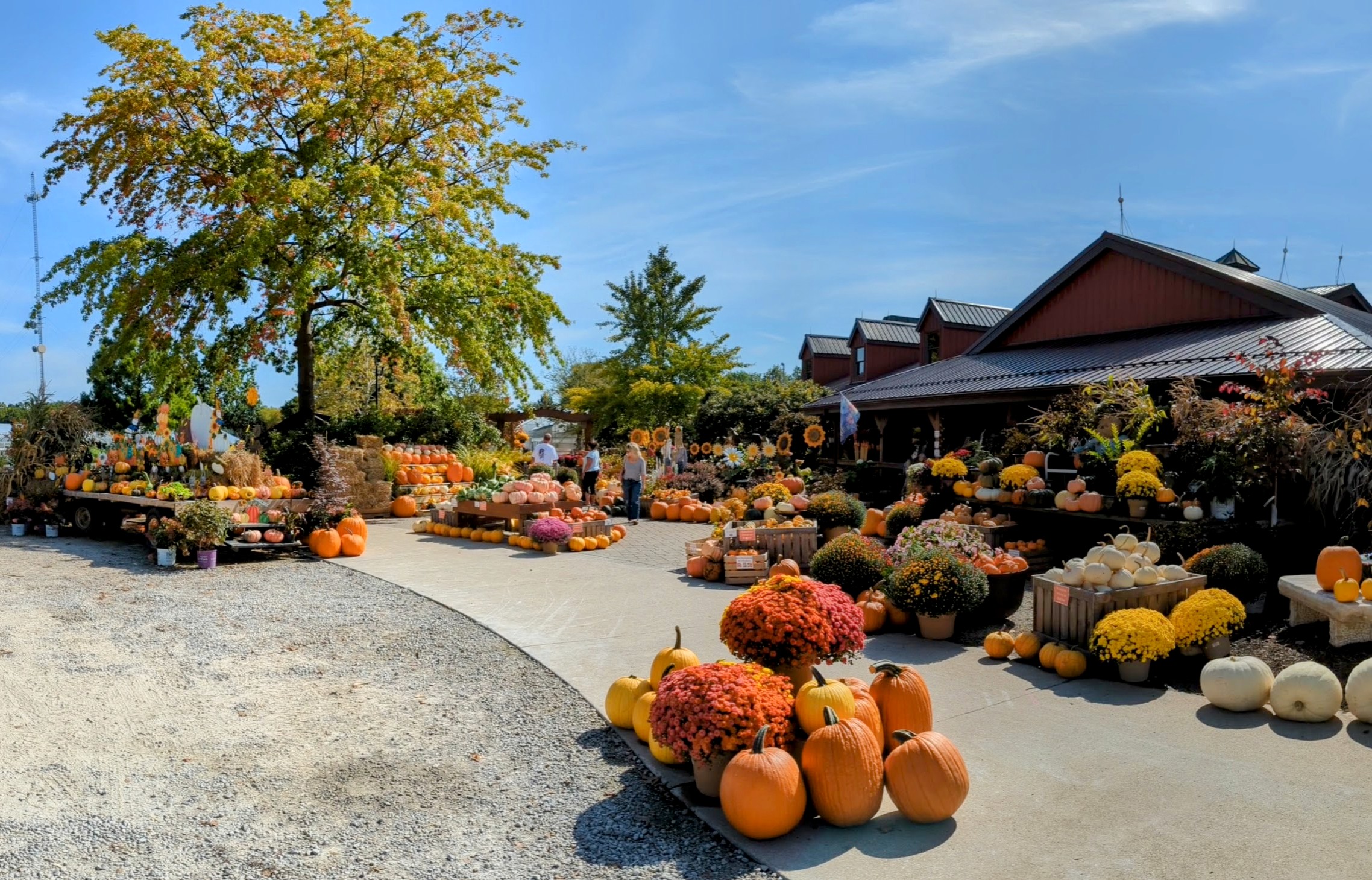 fall at Boyerts Greenhouse