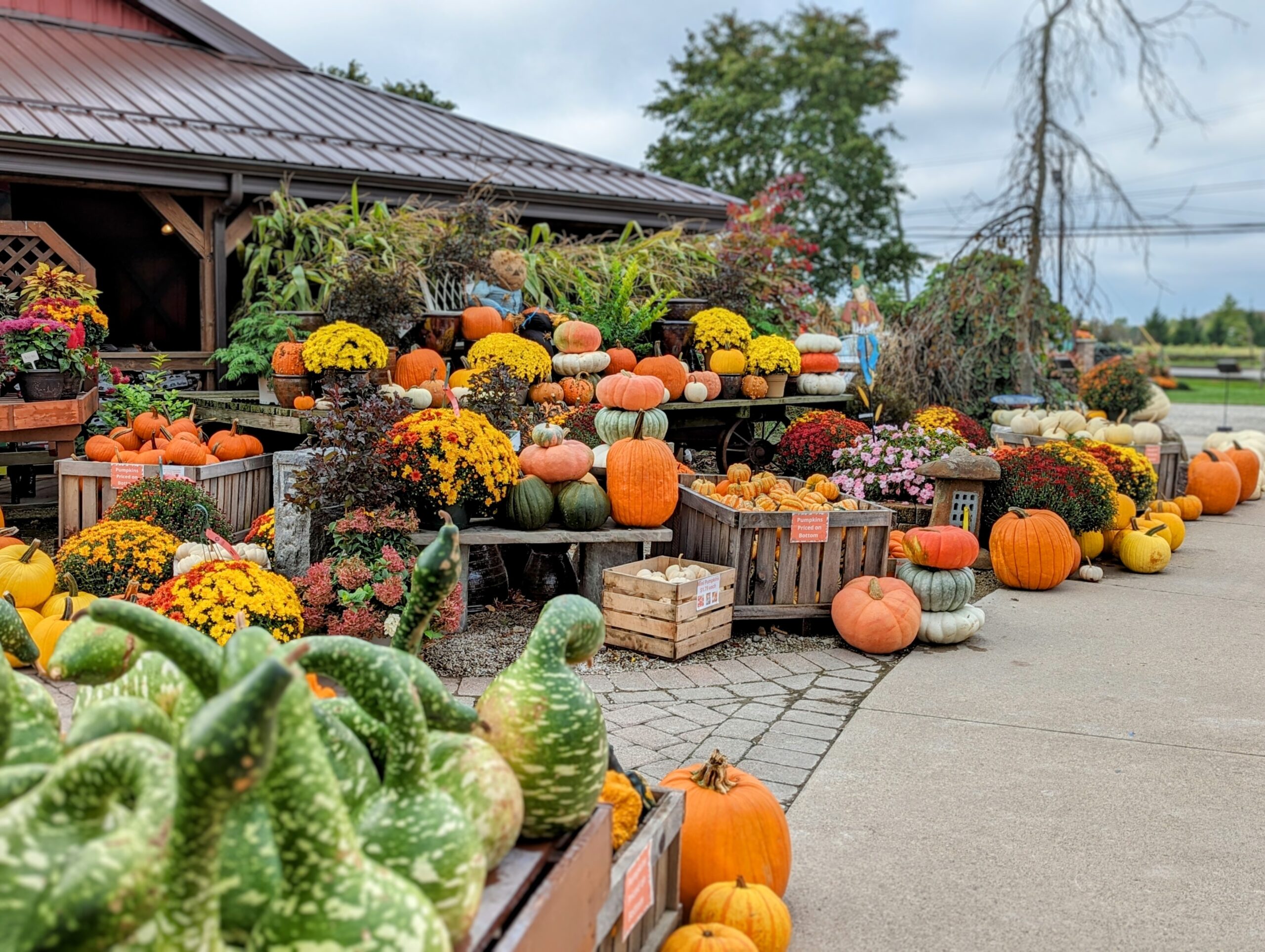 fall harvest display