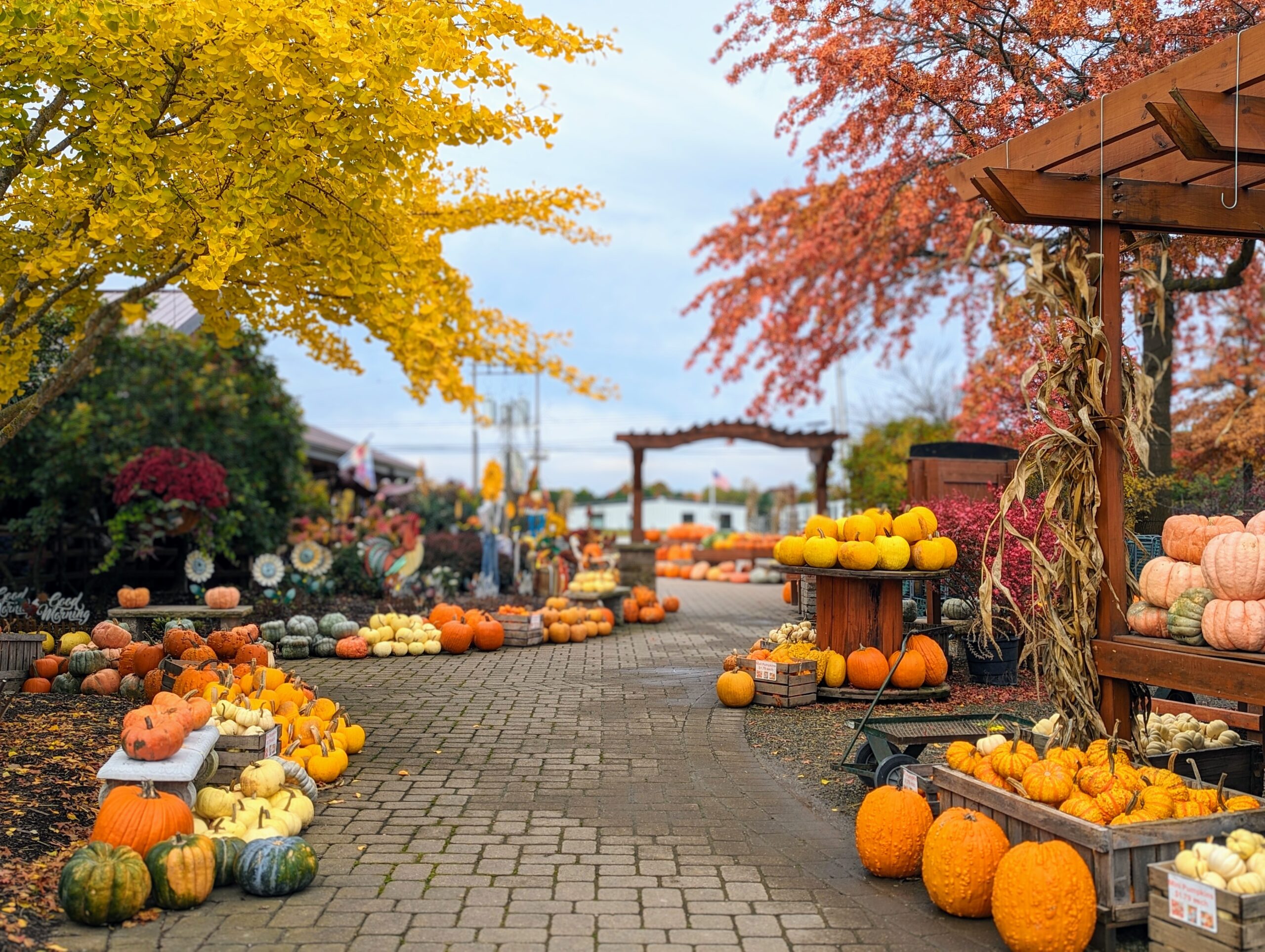 fall trees, pumpkins, and arch